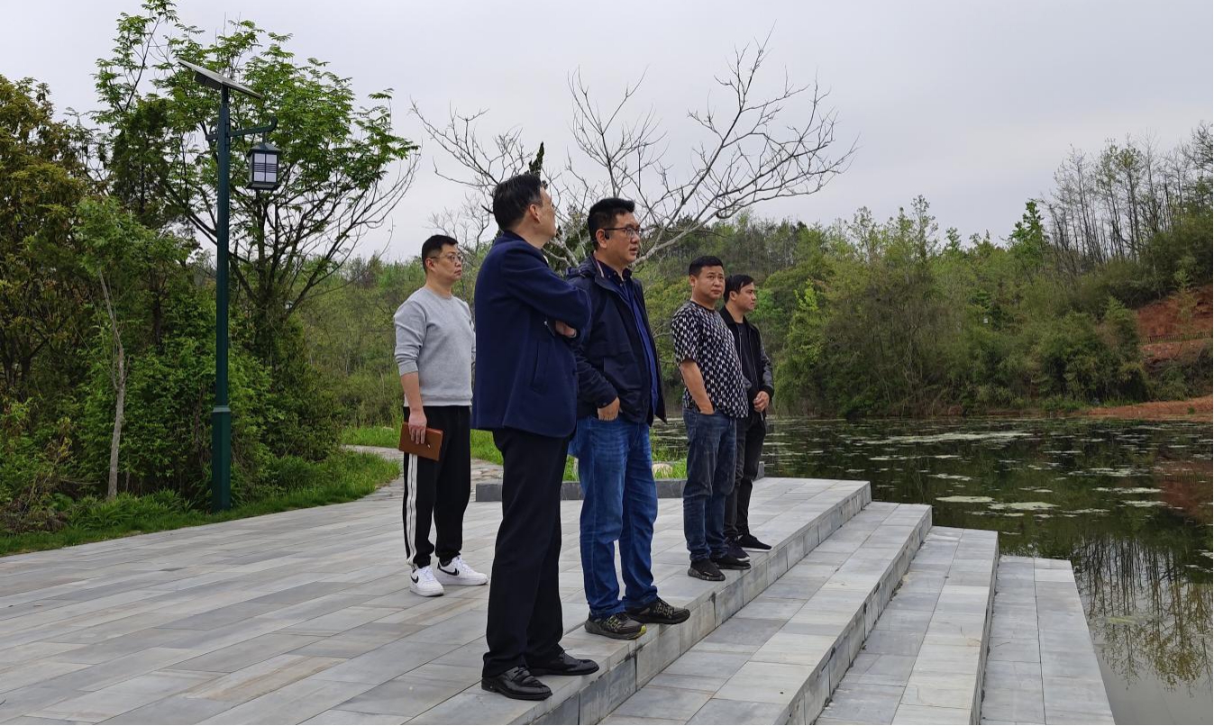 屯溪區國投集團實地考察朱村項目