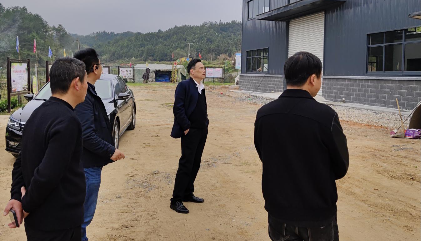 屯溪區國投集團實地考察朱村項目